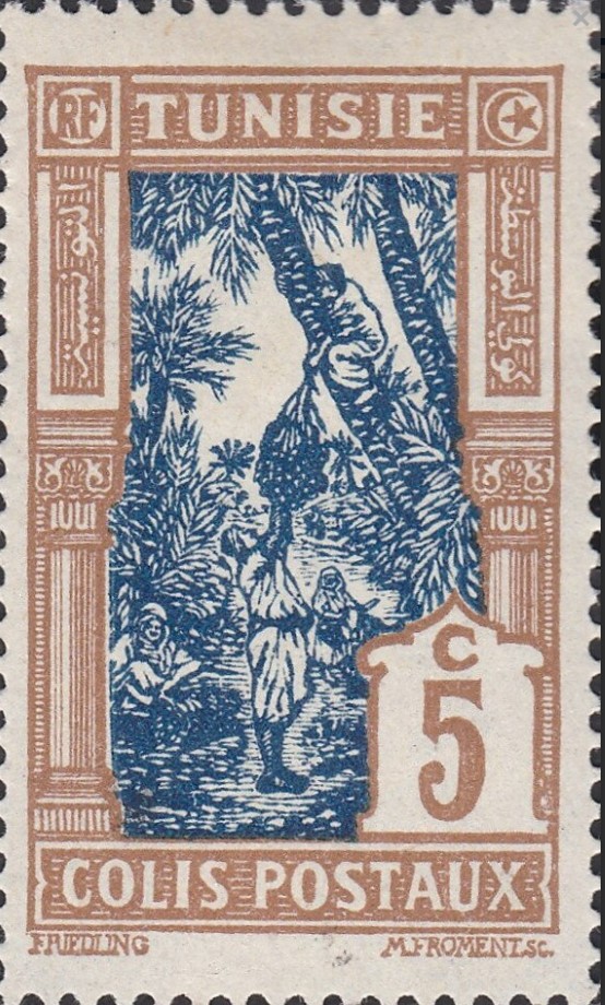 Cueillete des dattes