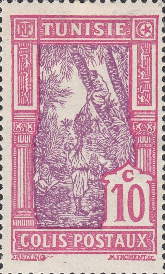 Cueillete des dattes