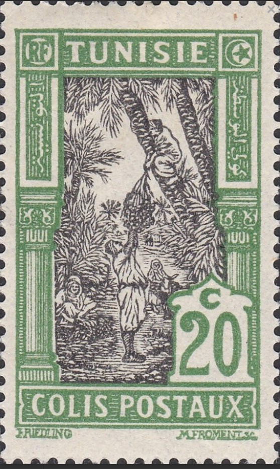 Cueillete des dattes