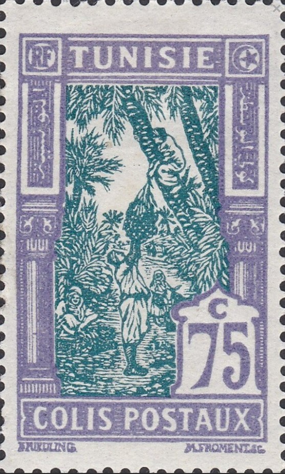 Cueillete des dattes