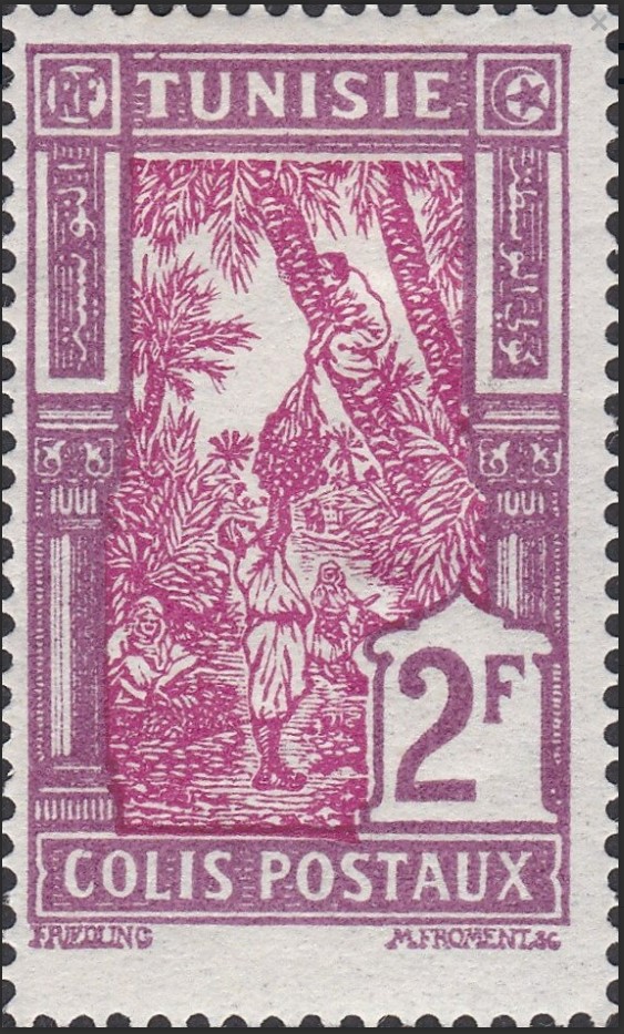 Cueillete des dattes