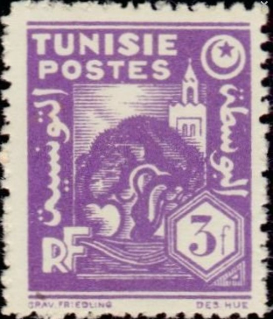 Olivier et mosquée - 3F