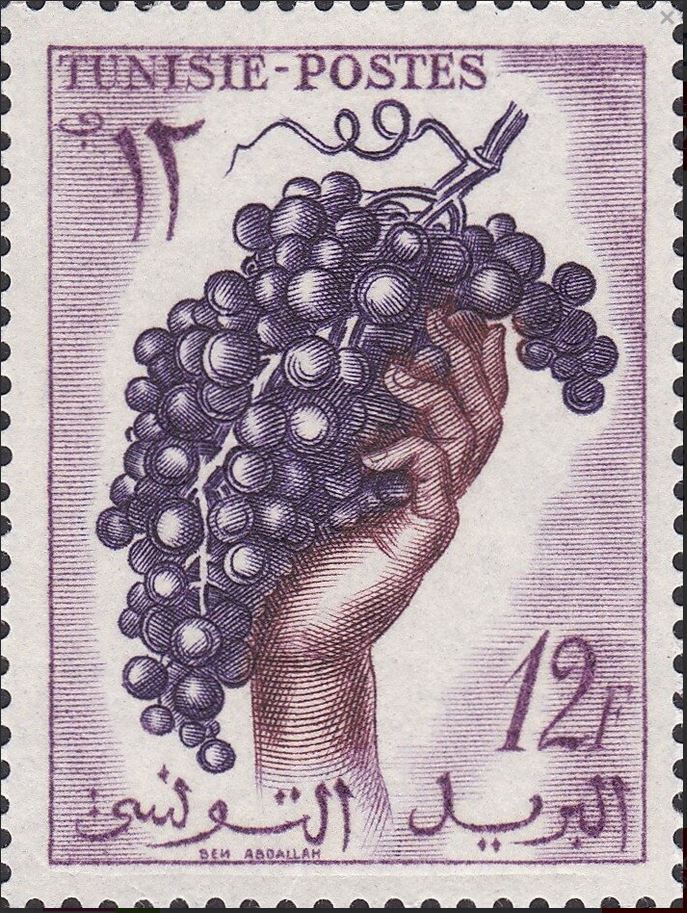 Productions : Grappe de raisins - 12F