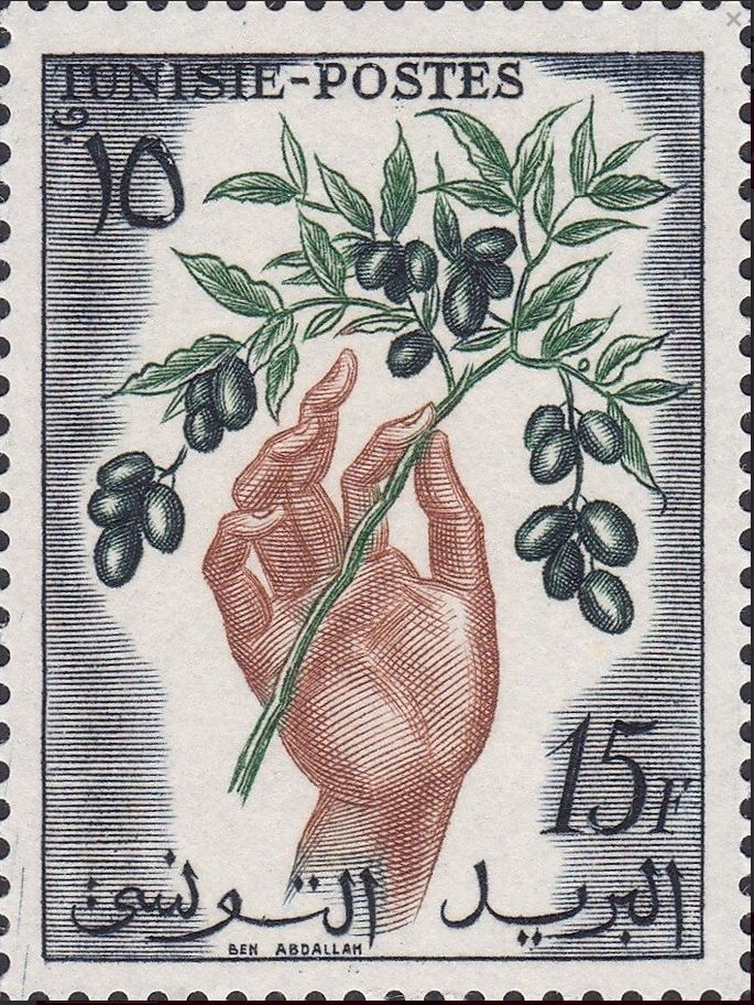 Productions : Branche d'olivier - 15F