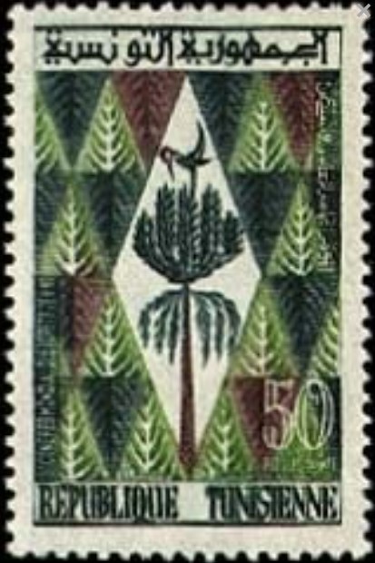 5ème Congrès forestier mondial à Seattle - 50 Millimes