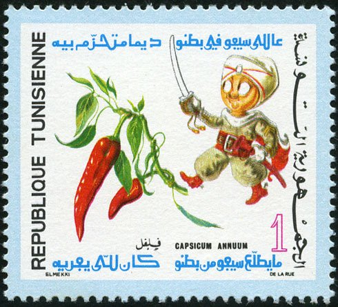 Piment (Capsicum annuum)