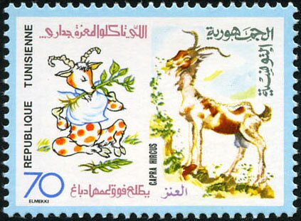 Flore et Faune. Capra Hircus - la chèvre