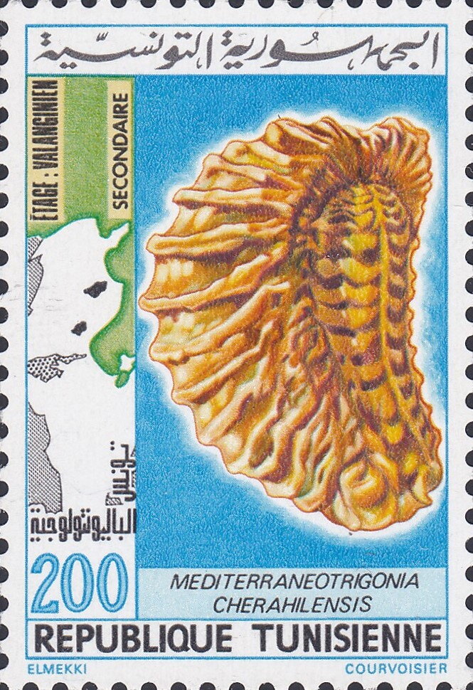 La Tunisie paléontologique, Animaux fossiles de la préhistoire