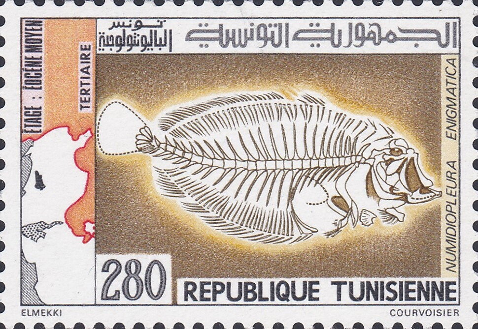 La Tunisie paléontologique, Animaux fossiles de la préhistoire