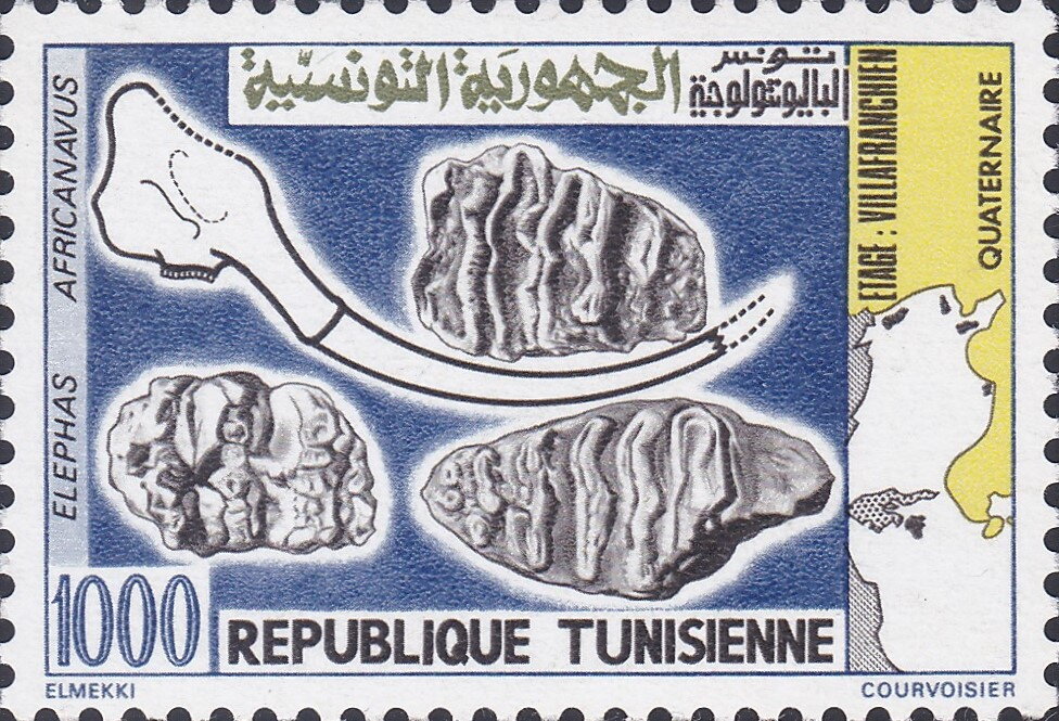 La Tunisie paléontologique, Animaux fossiles de la préhistoire