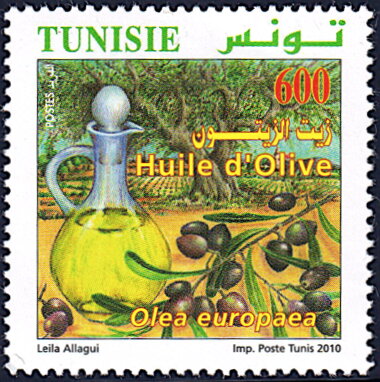 L'Agriculture Biologique en Tunisie : l'huile d'olive (Olea europaea)