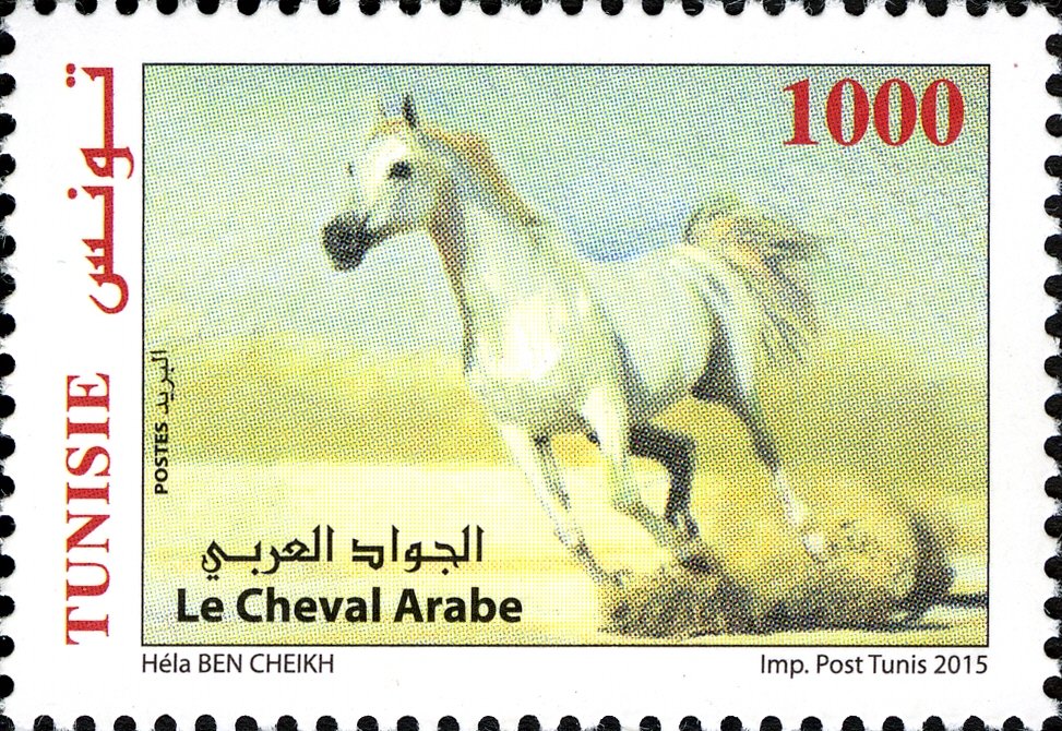 Le Cheval Arabe